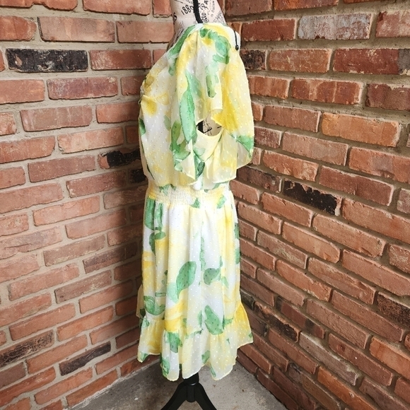 DKNY Flutter-Sleeve Clip-Dot Smock-Waist Dress Size 12 NWT - Picture 6 of 15